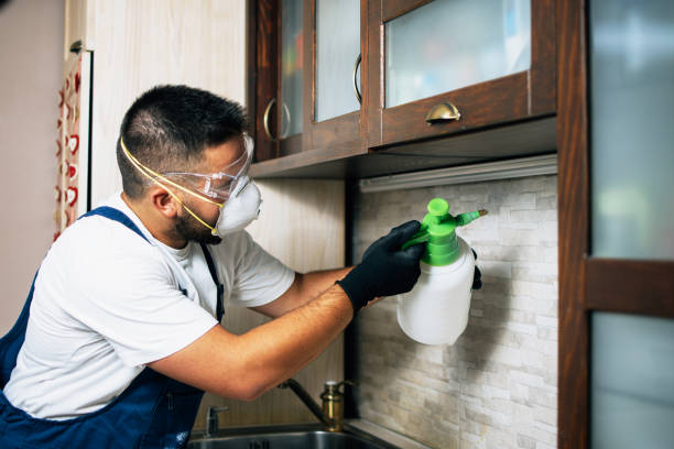 Best Exterminator Services  in Littlerock, CA