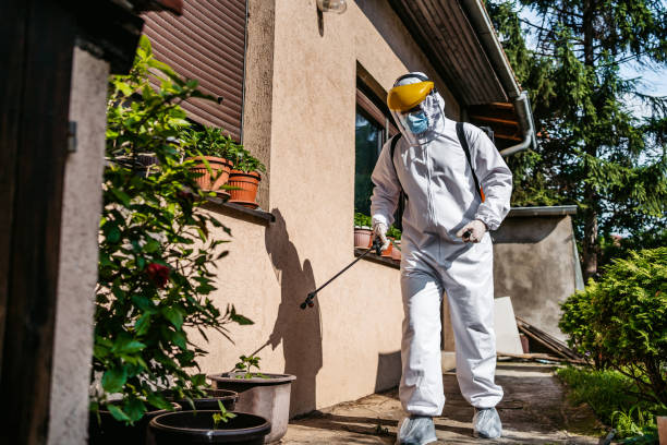 Best Pest Inspection Near Me  in Littlerock, CA