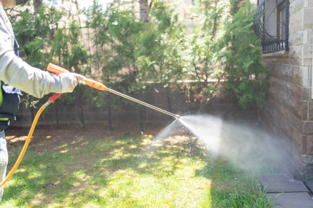 Best Commercial Pest Control Services  in Littlerock, CA